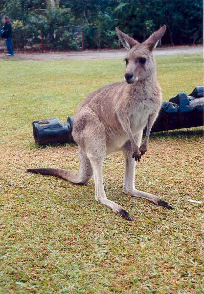 2 Australia Zoo
